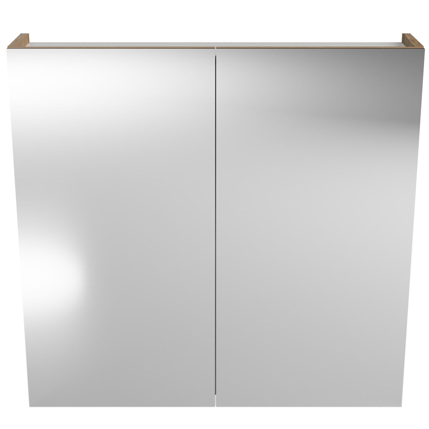 Tennessee 2 Door Shaving Cabinet