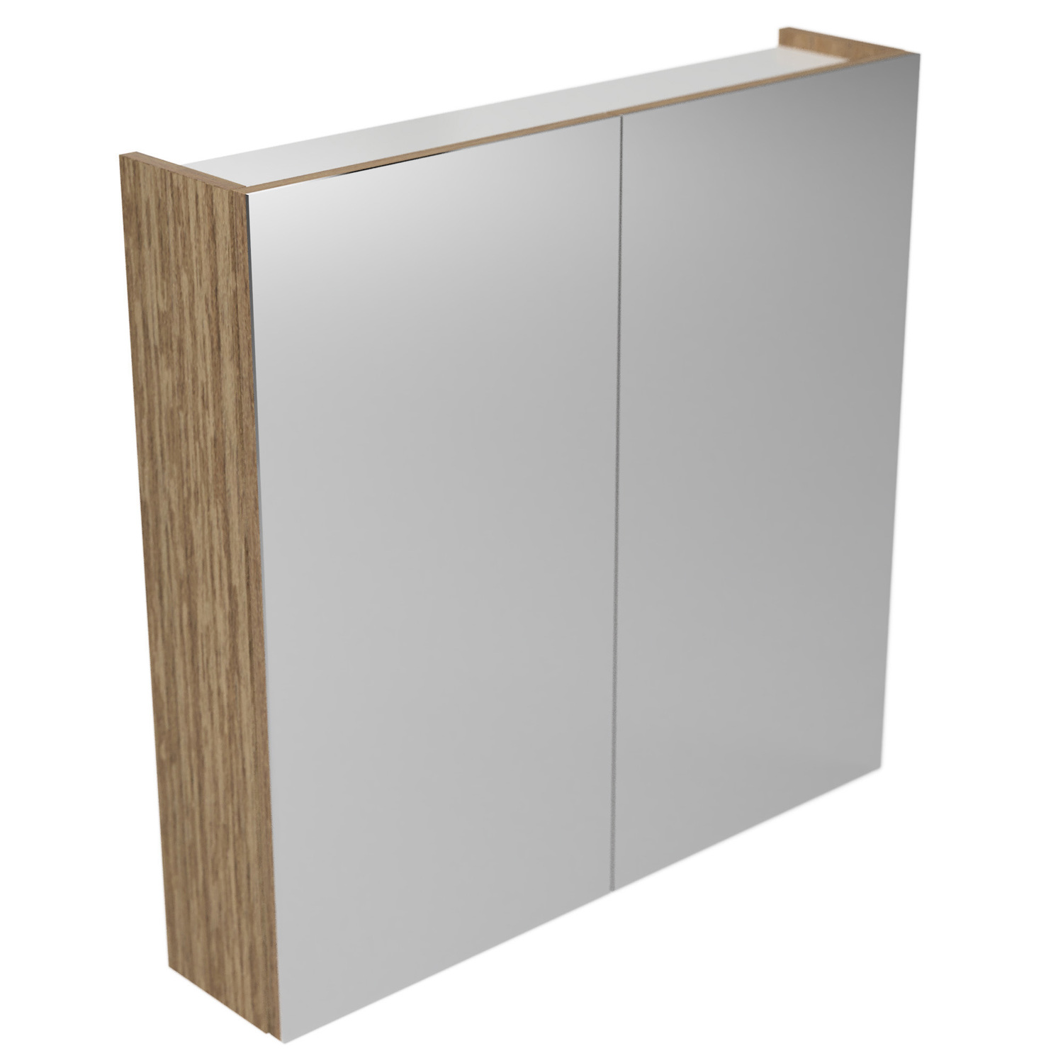 Tennessee 2 Door Shaving Cabinet