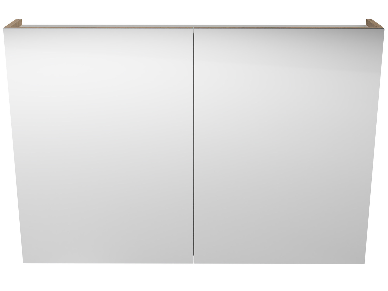 Tennessee 2 Door Shaving Cabinet