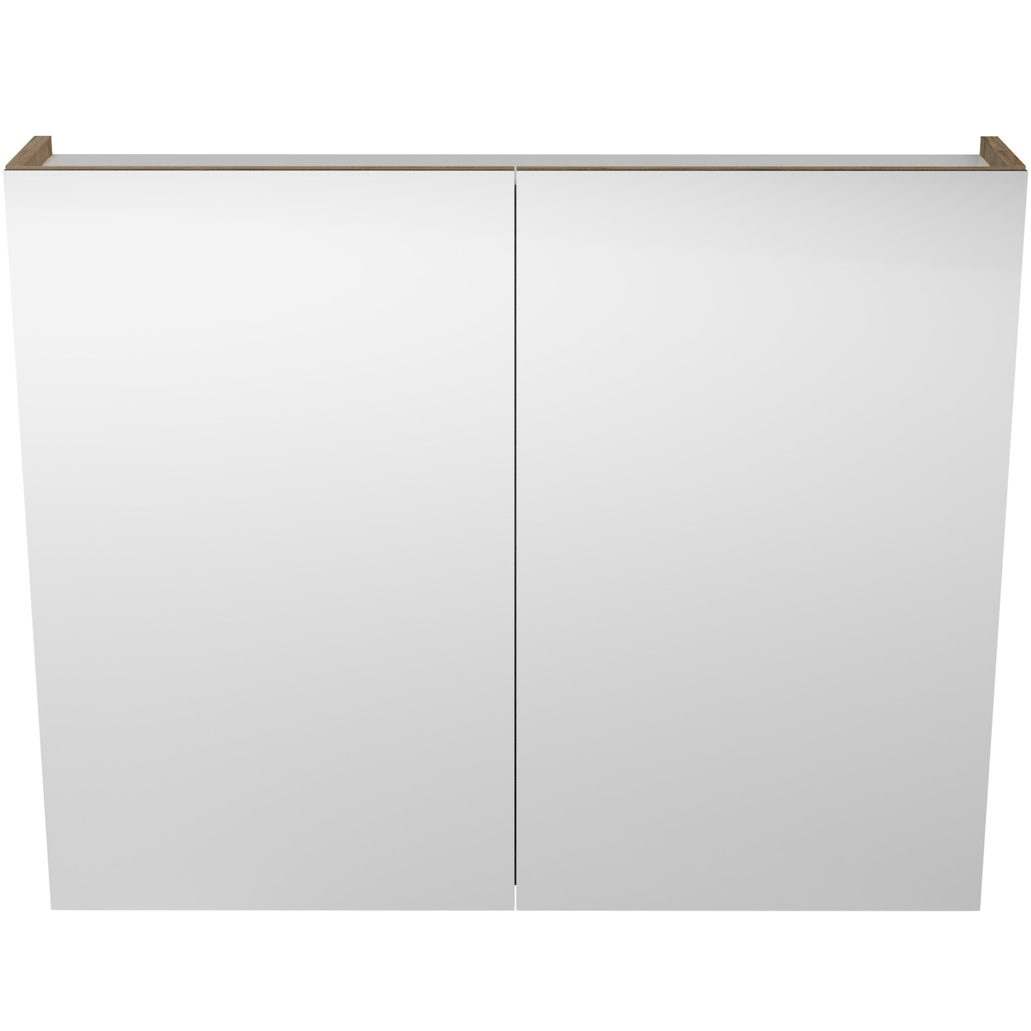 Tennessee 2 Door Shaving Cabinet