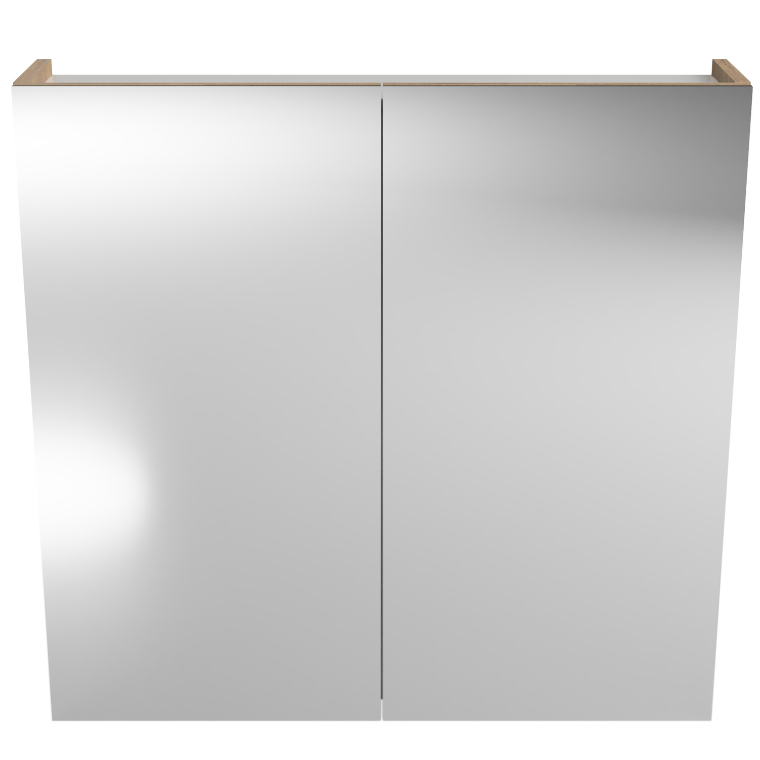 Tennessee 2 Door Shaving Cabinet