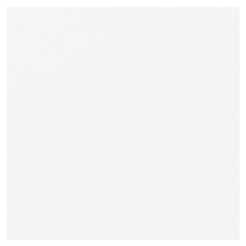 Arctic White