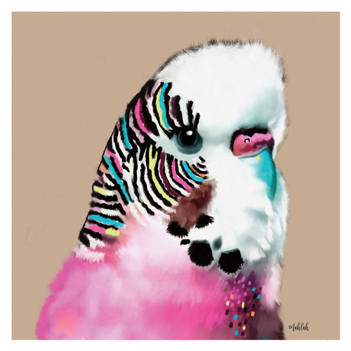 Budgie Printed Wall Art