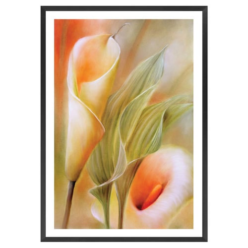 Callas Printed Wall Art