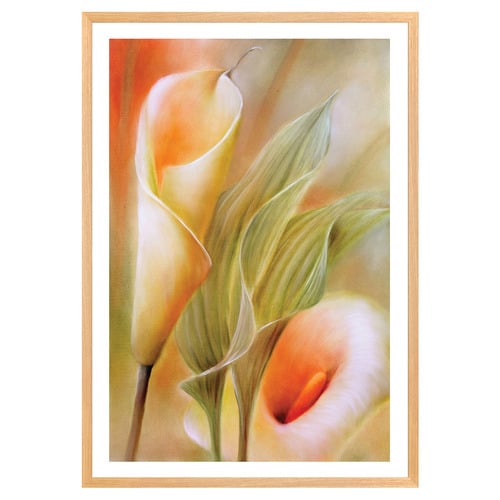 Callas Printed Wall Art