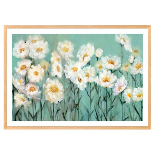 Daisy Collection Printed Wall Art