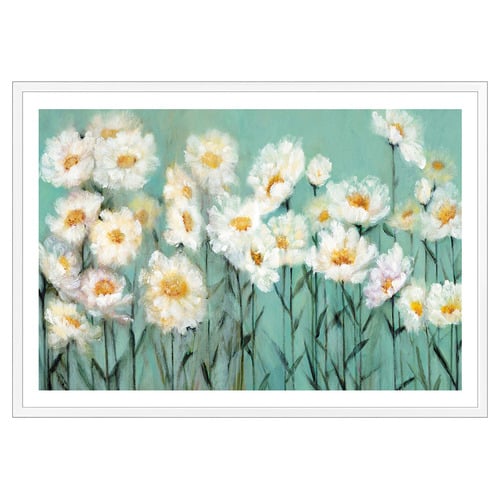 Daisy Collection Printed Wall Art