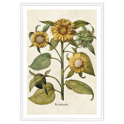 Sunflowers Printed Wall Art