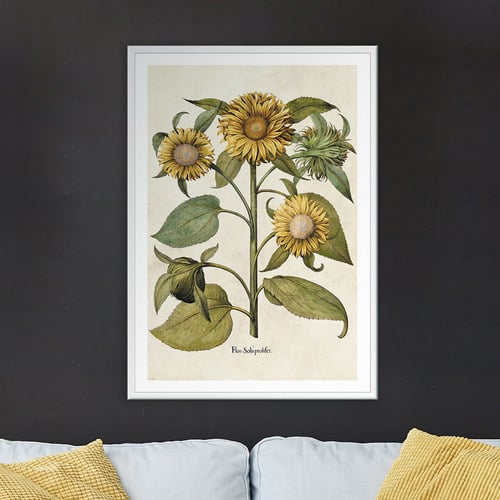 Sunflowers Printed Wall Art