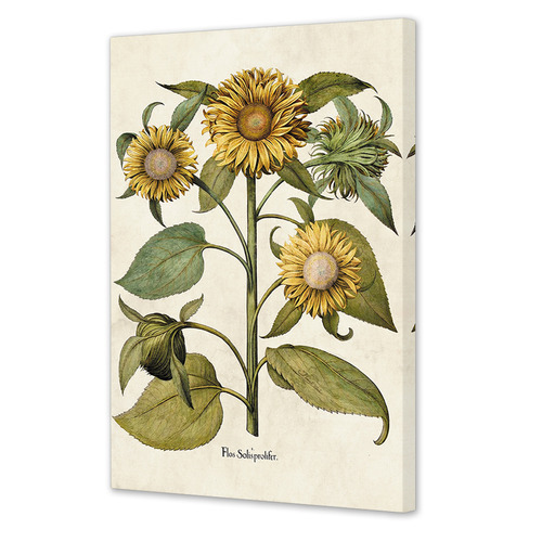 Sunflowers Printed Wall Art