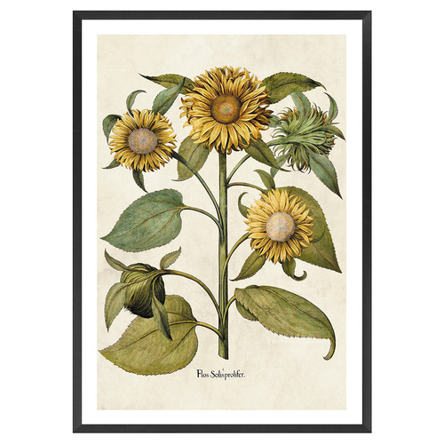 Sunflowers Printed Wall Art