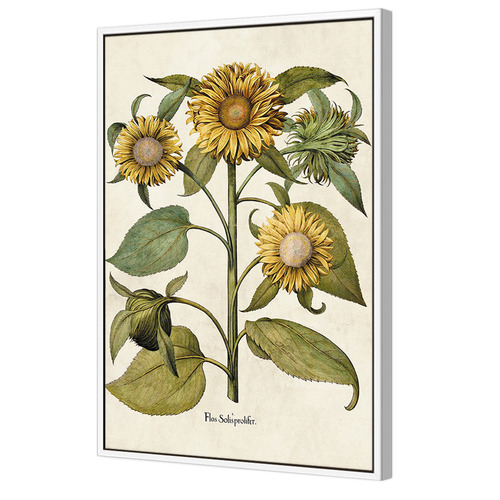 Sunflowers Printed Wall Art