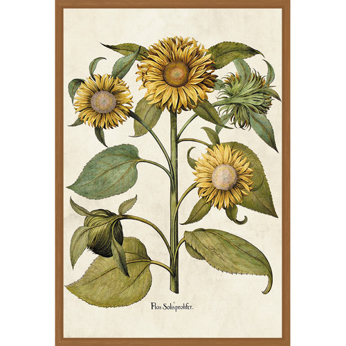 Sunflowers Printed Wall Art