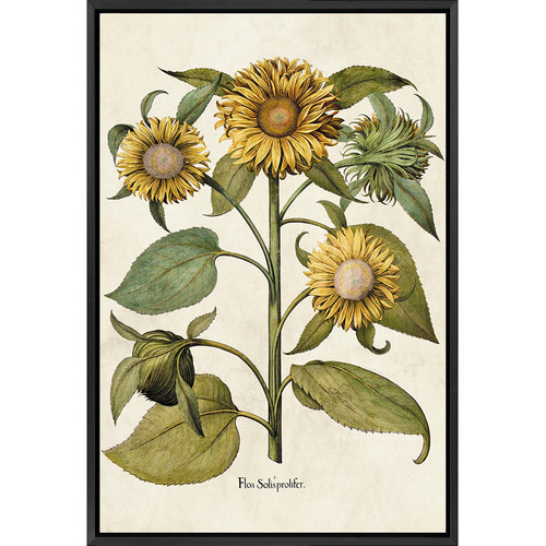 Sunflowers Printed Wall Art