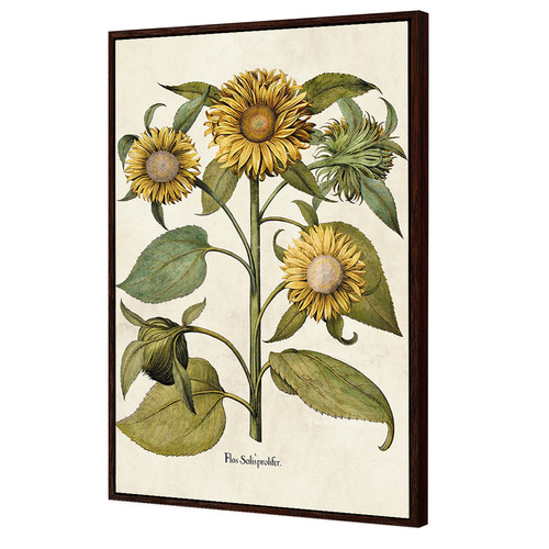 Sunflowers Printed Wall Art