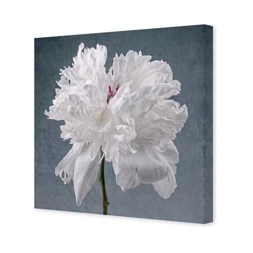 Peony on Blue Printed Wall Art