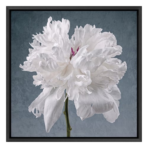 Peony on Blue Printed Wall Art