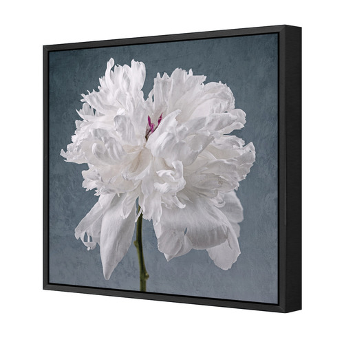 Peony on Blue Printed Wall Art