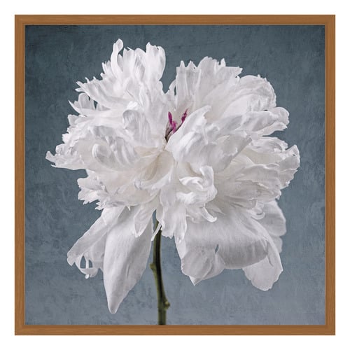 Peony on Blue Printed Wall Art