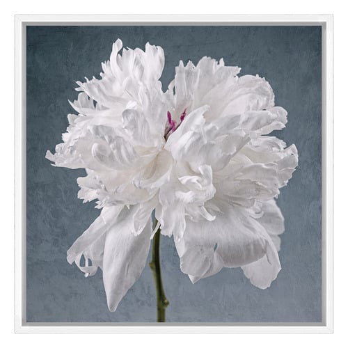 Peony on Blue Printed Wall Art