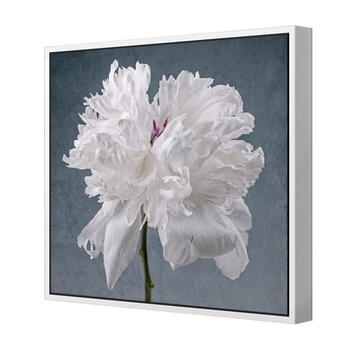 Peony on Blue Printed Wall Art