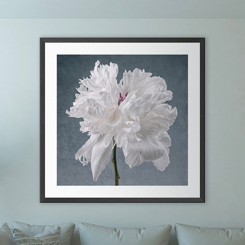 Peony on Blue Printed Wall Art