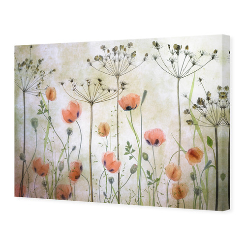 Poppy Meadow Printed Wall Art