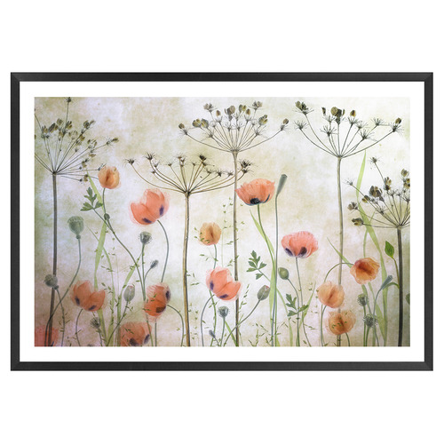 Poppy Meadow Printed Wall Art