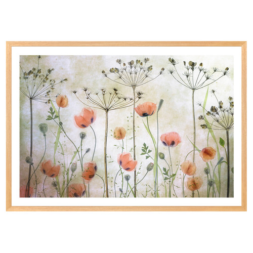 Poppy Meadow Printed Wall Art