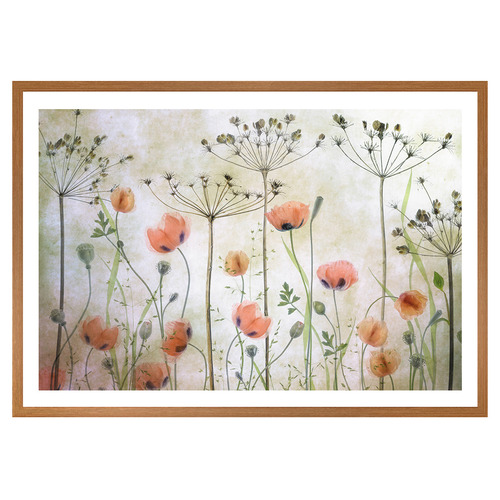 Poppy Meadow Printed Wall Art