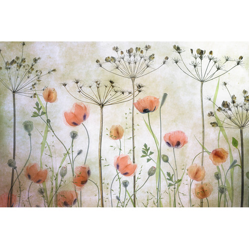 Art Prints Unique Poppy Meadow Printed Wall Art | Temple & Webster