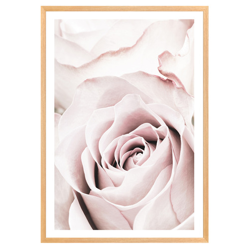 Pink Roses No 5 Printed Wall Art
