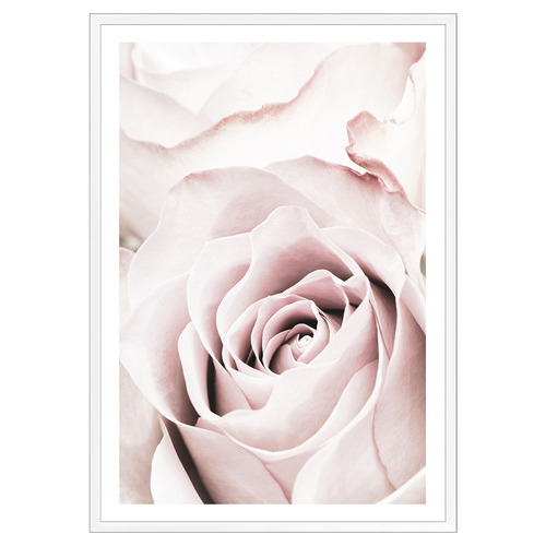 Pink Roses No 5 Printed Wall Art