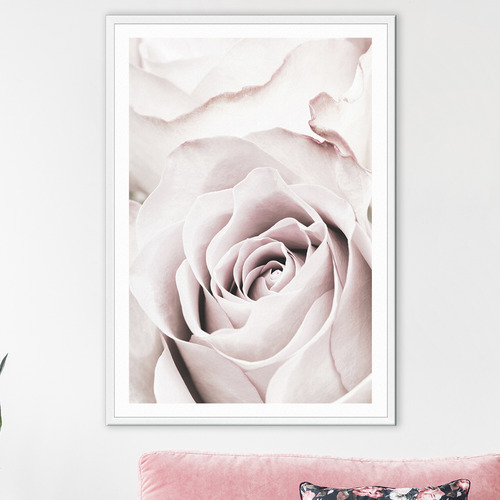 Pink Roses V Printed Wall Art | Temple & Webster