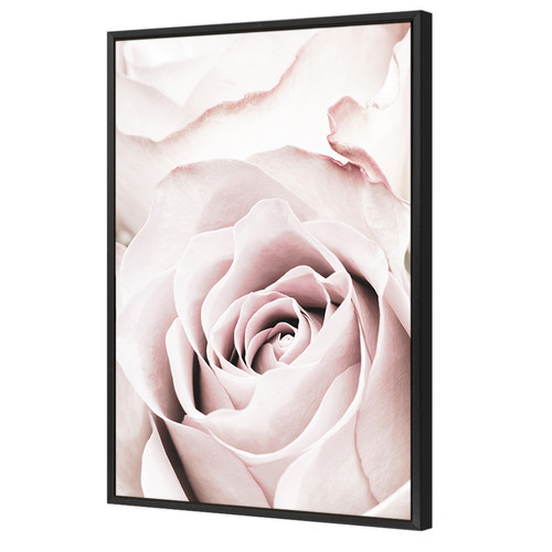 Pink Roses No 5 Printed Wall Art