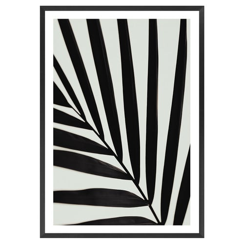 Graphic Palm Leaf I Printed Wall Art