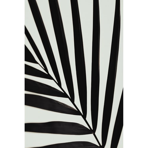 Graphic Palm Leaf I Printed Wall Art