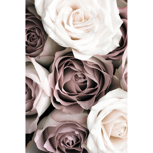 Roses Sepia I Printed Wall Art