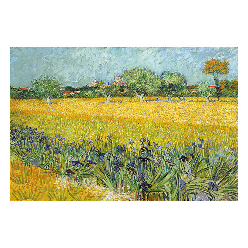 Field with Flowers near Arles Printed Wall Art