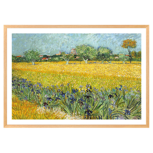 Field with Flowers near Arles Printed Wall Art