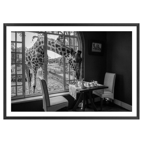 Breakfast Time Printed Wall Art