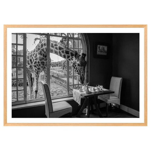Breakfast Time Printed Wall Art