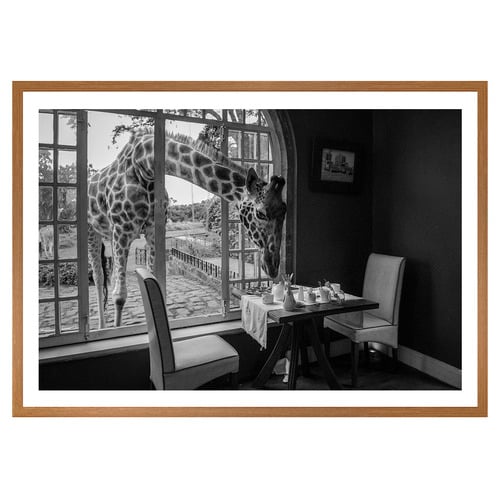 Breakfast Time Printed Wall Art