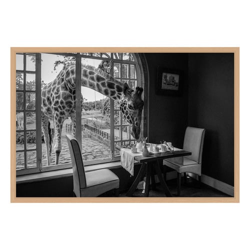 Breakfast Time Printed Wall Art