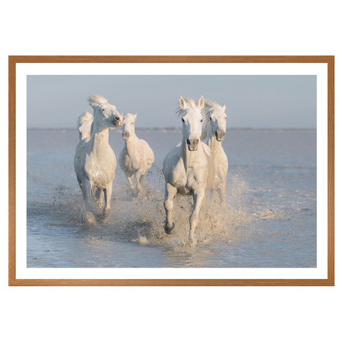 Horses Printed Wall Art