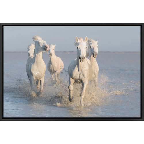 Horses Printed Wall Art