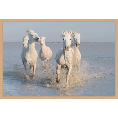 Horses Printed Wall Art