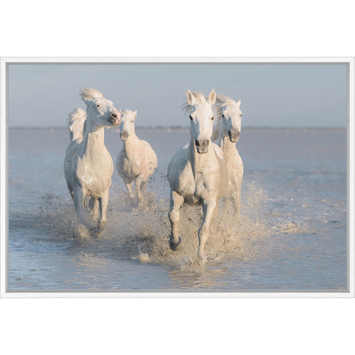 Horses Printed Wall Art