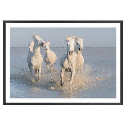 Horses Printed Wall Art