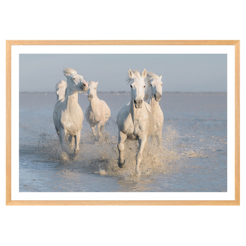 Horses Printed Wall Art
